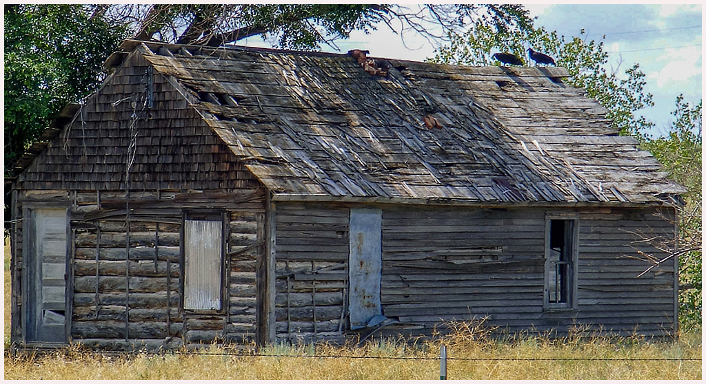 Realistic Comp In Class B By Sandra Nuhn For Crows On Abandoned House FEB-2019.jpg